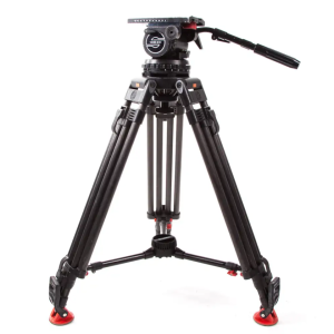 Sachler Video 25