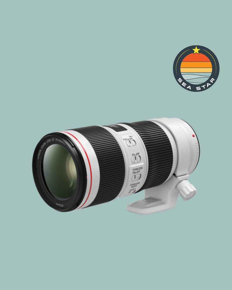 Canon 70-200mm