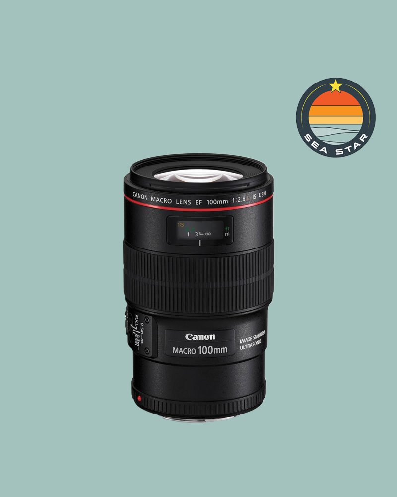 Canon Ef 100mm F 2.8 Macros Lens