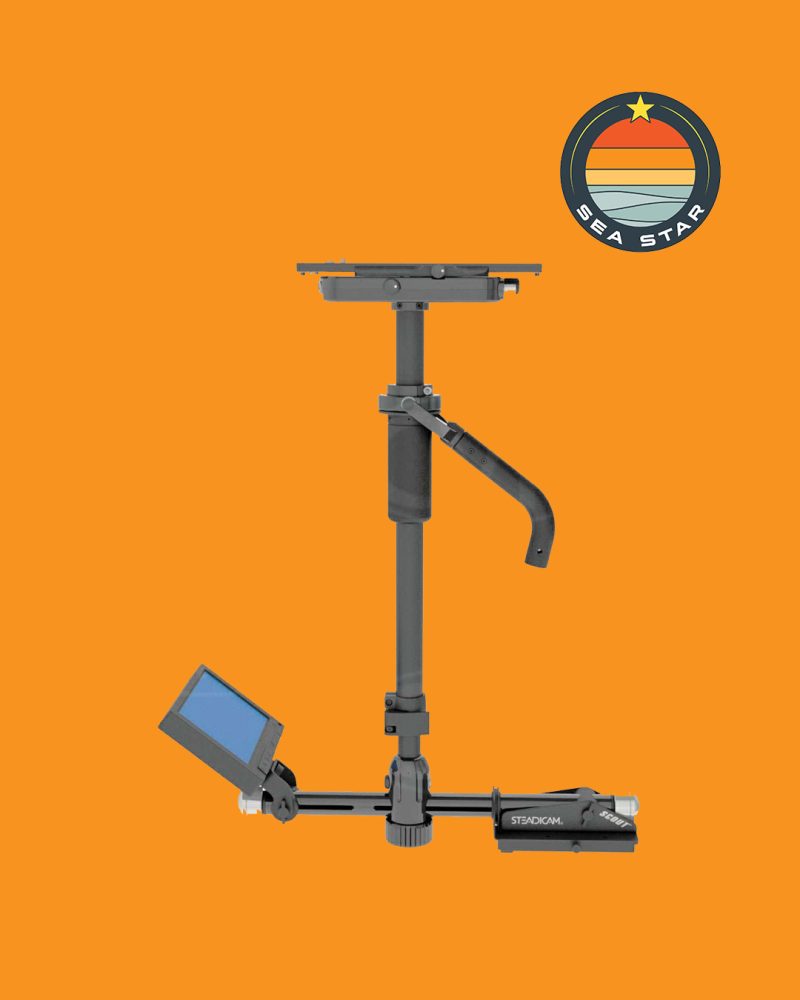 Stedicam Scout